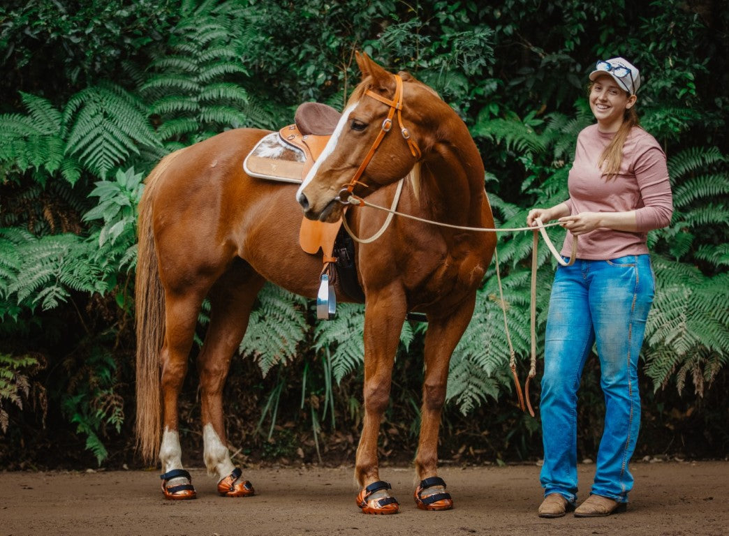 The Importance of Short Trim Cycles for Barefoot Horses and Renegade Hoof Boot Fit