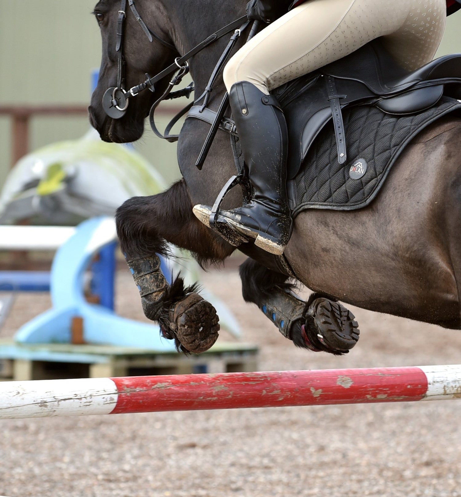 Removing your Renegade® Hoof Boots & After Ride Care