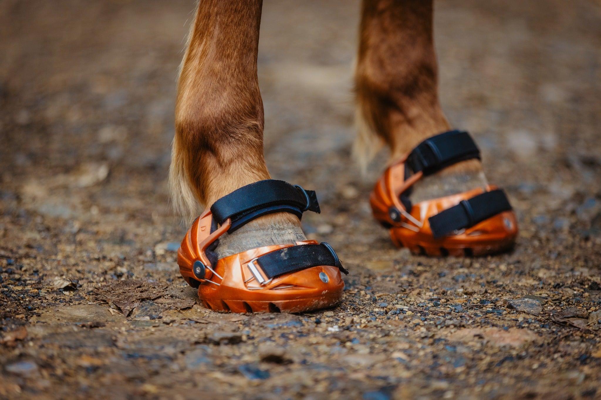 Renegade® Viper™ Hoof Boots for Barefoot Horses